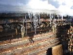 Lower East Fork Cabin Ice