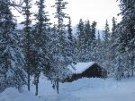 Winter Wonderland