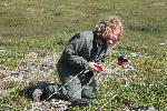 Electric Fence Test