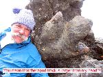 Tyrannoid Track