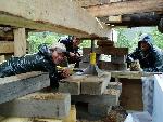 Cabin Restoration 2