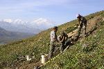 Eielson Trails 1