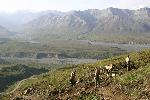 Eielson Trails 2