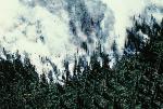 Fire 8588, Allowed to Burn, Air Photo