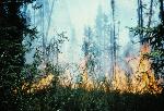 Fire Southeast Perimeter - 1986