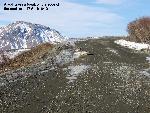 Wolf resting on the Park Road