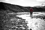 Walk