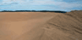 dune landscape