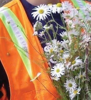 Person in an orange safety vest holding a bunch of plants with thin stems and white flowers.