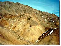 Rock and Talus Habitats