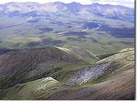 Alpine habitat