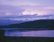 Mt. McKinley on a summer evening.