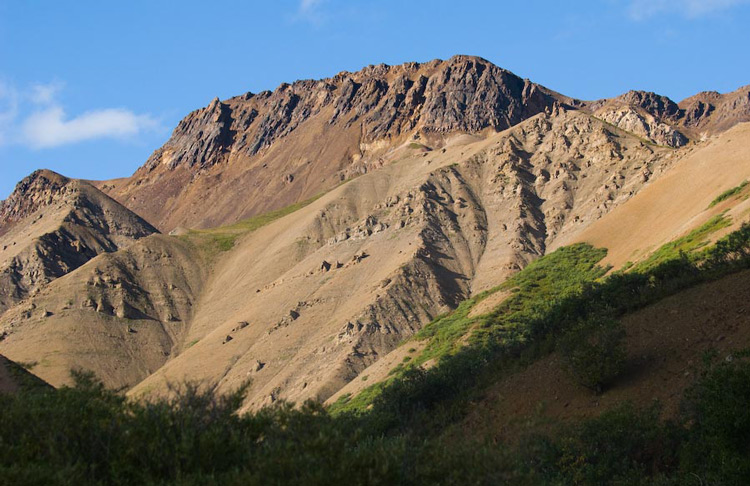 Image of mountains in Denali 