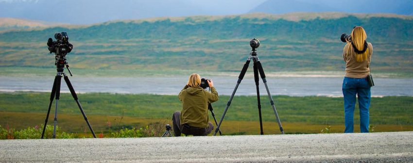 Photographers on the park road