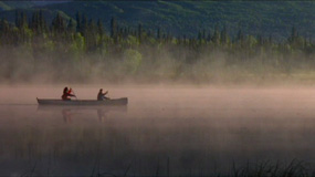 Heartbeats of Denali