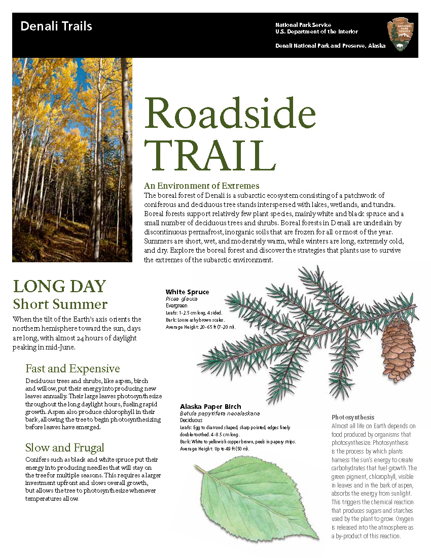 Roadside Trail 