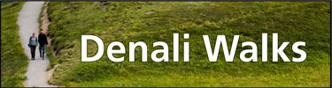 logo for "Denali Walks," two hikers on a trail in alpine tundra