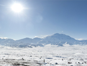 View of Mount McKinley from the snow-covered Turtle Hill area