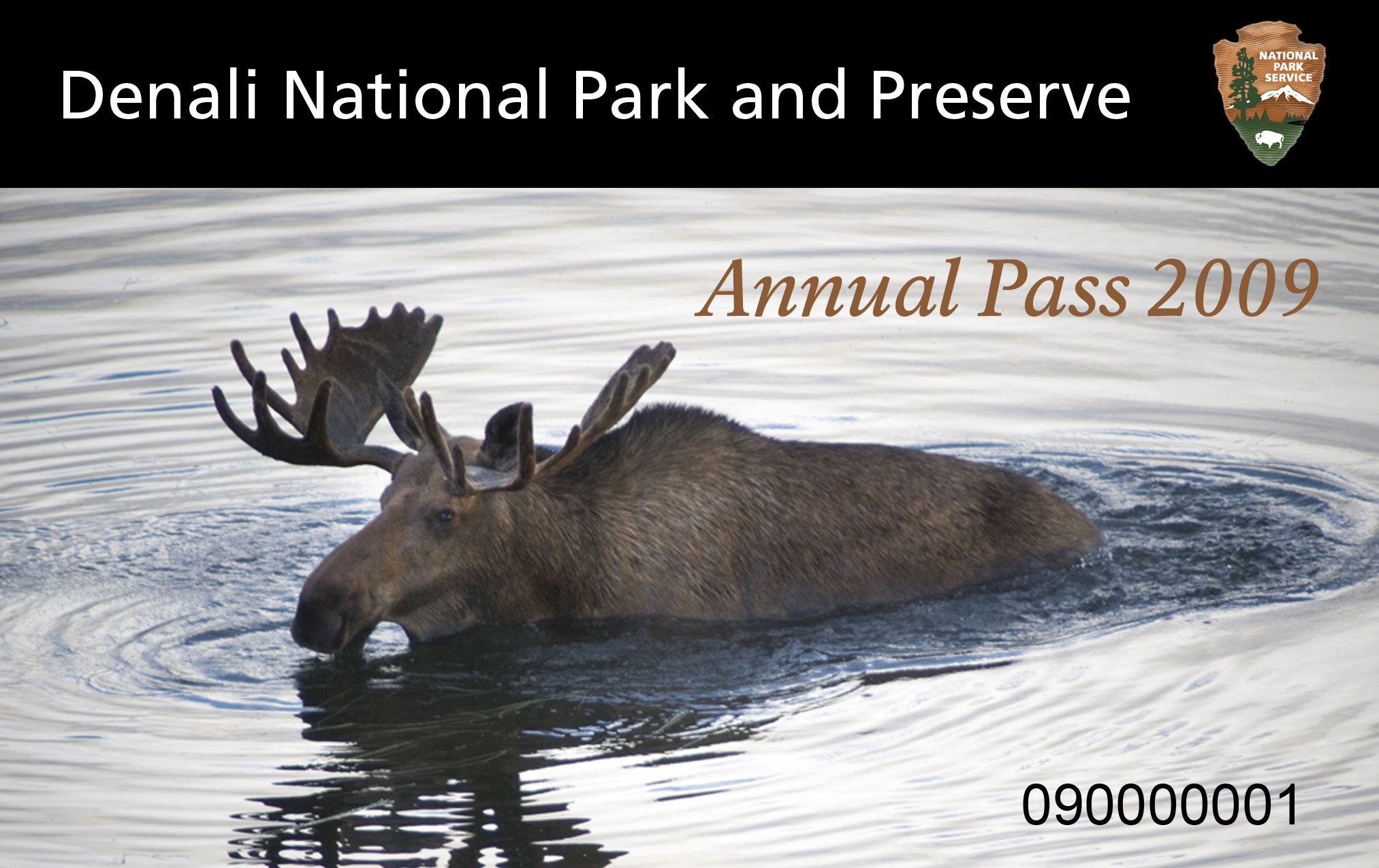 Image of Denali Annual Pass