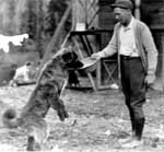Harry Karstens feeding a dog - NPS photo