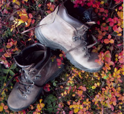 sturdy boots make a walk comfortable
