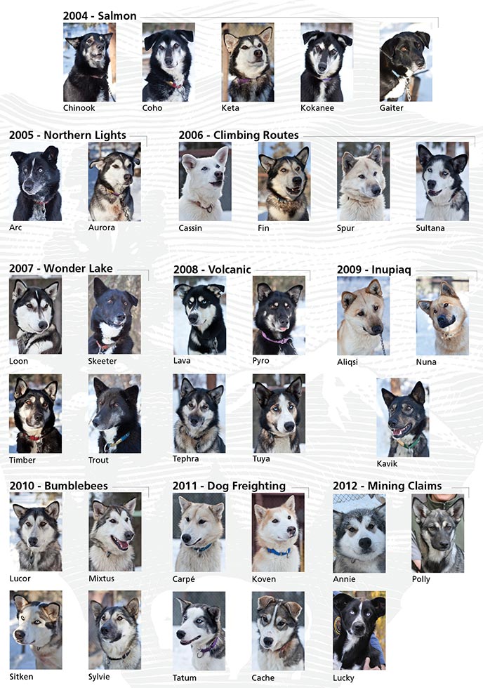 thumbnail images of each dog, grouped by litter