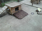Screen capture from the Puppycam