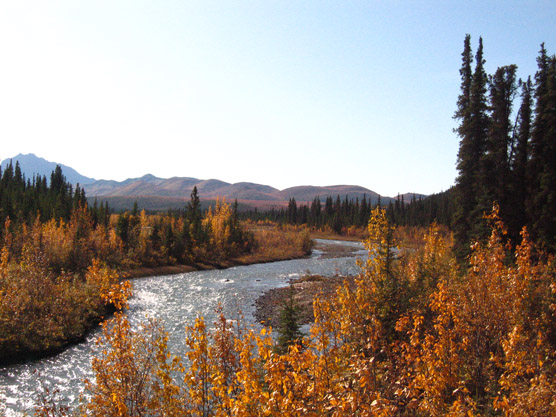 Looking south, upstream along the Sanctuary River