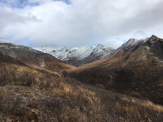 A brown mountainside of brush that has lost its leaves. The top of the ridgeline is covered with a light dusting of snow.