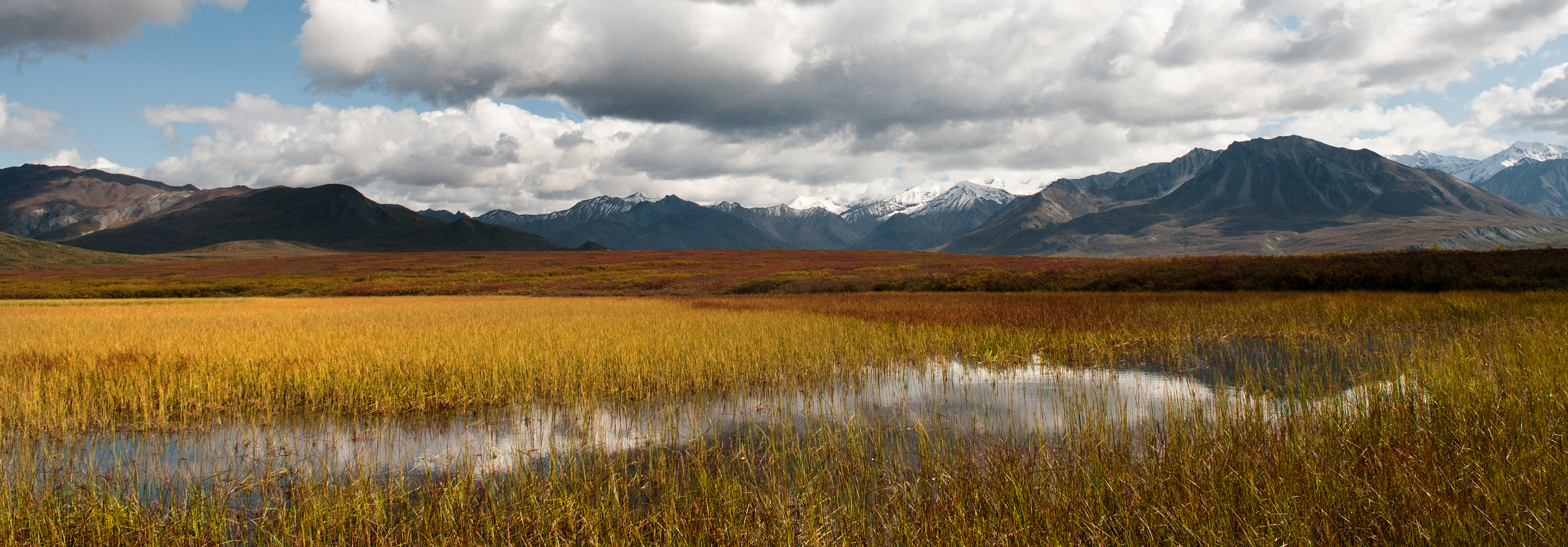 A view of fall colors, mountains, and sunny skies near Wonder Lake.