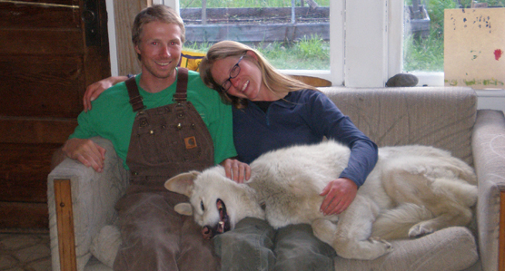 Carlo, a retired sled dog, relaxing with his new family in 2007