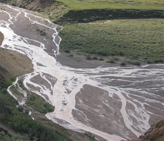 A braided river