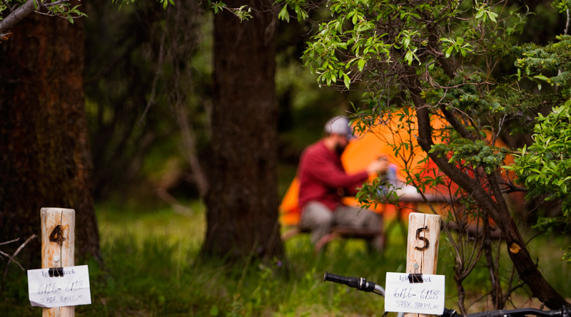 People camping in Denali