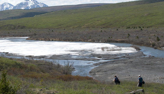 denali hike