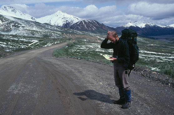 A hiker studies a map while standing on the Denali Park Road.