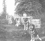 The early Kennels - NPS photo