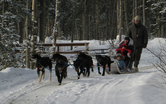 Dog mushing