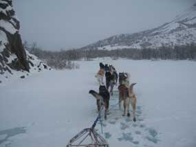 Overflow in Igloo Creek