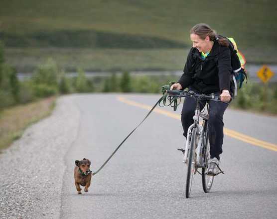 Pets must be leashed at all times