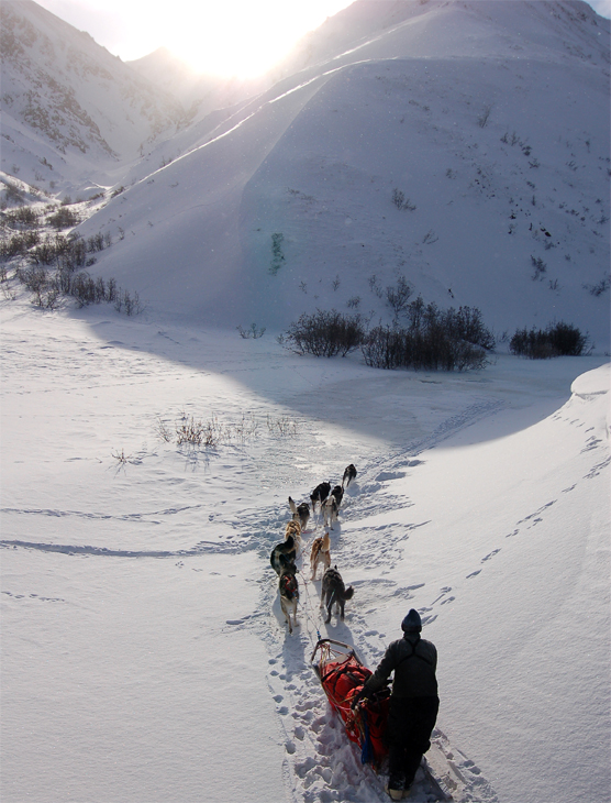 A dog team mushing through snowy hills