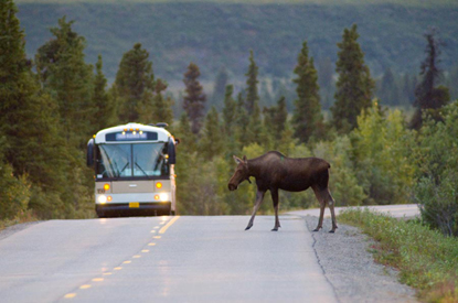 A tour bus