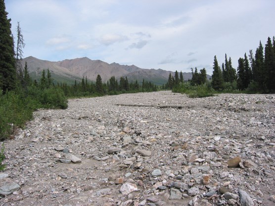 A dry creekbed leading to Healy Ridge