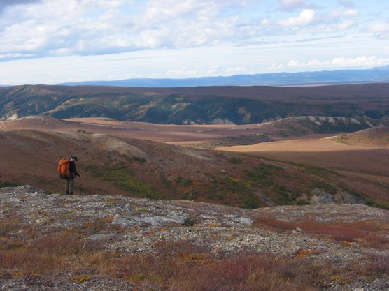 a hiker looking out over rolling hills tinged red and yellow by autumn foliage