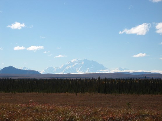 Mount McKinley, seen from the north end of unit 37