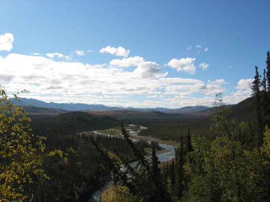 Looking south, up the Clearwater Fork of the Toklat
