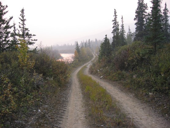 The road along Moose Creek