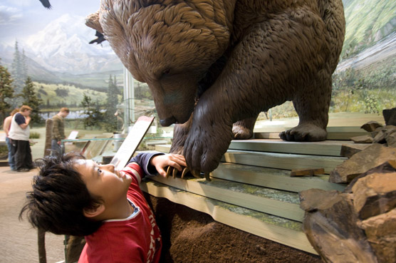 A young visitor enjoys the displays at the Denali Visitor Center