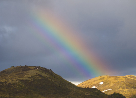 Rainy days often yield their own particular style of beauty in Denali