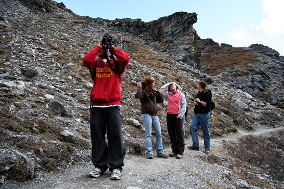 Hikers on a trail in Denali