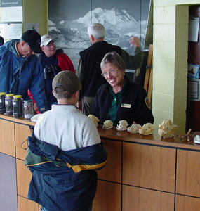 Volunteer Assisting Visitor